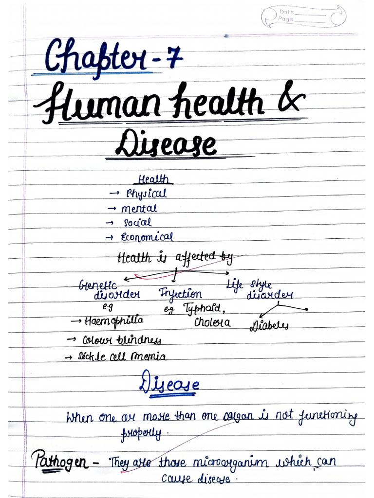 Human Health | PDF