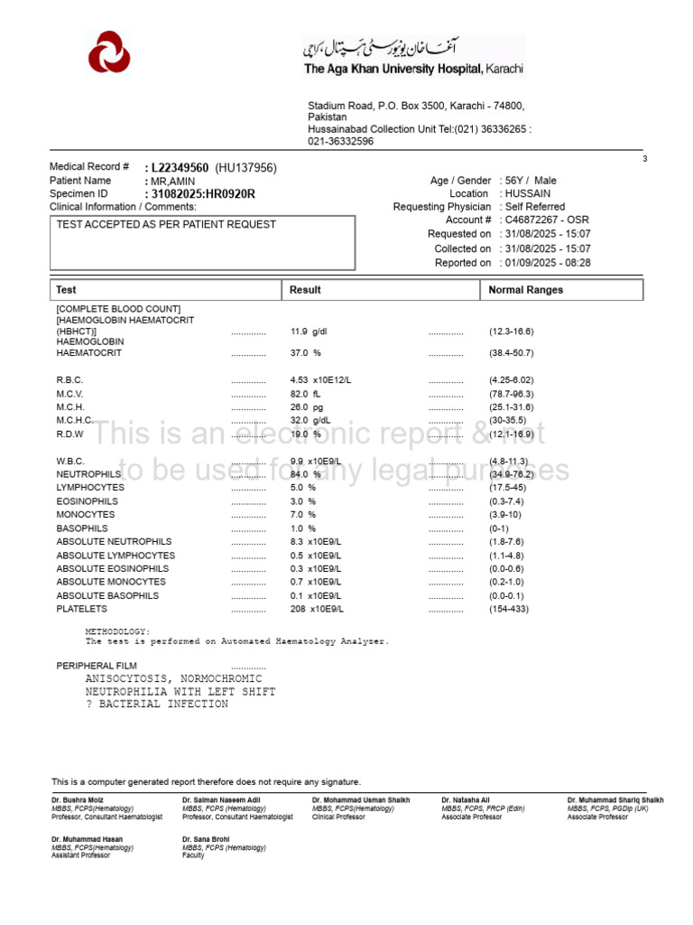 Complete Blood Count Report for Patient | PDF