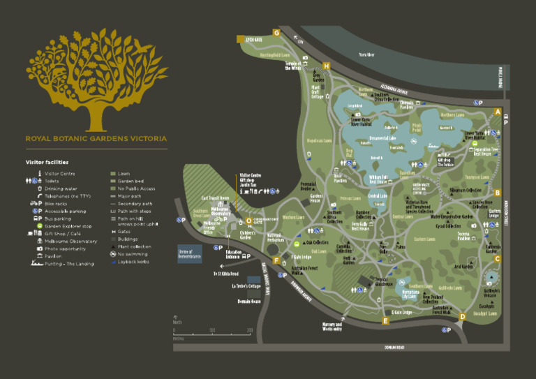 RBGV Melb Map Board Map A3 St10 Ol | PDF