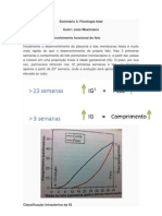 Fisiologia Fetal