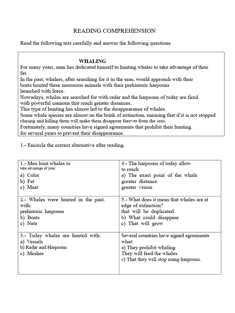 Reading Comprehension The Whale Hunt | PDF