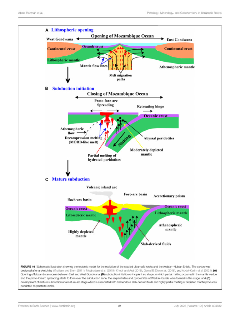 Tectonic Evolution of Ultramafic Rocks | PDF