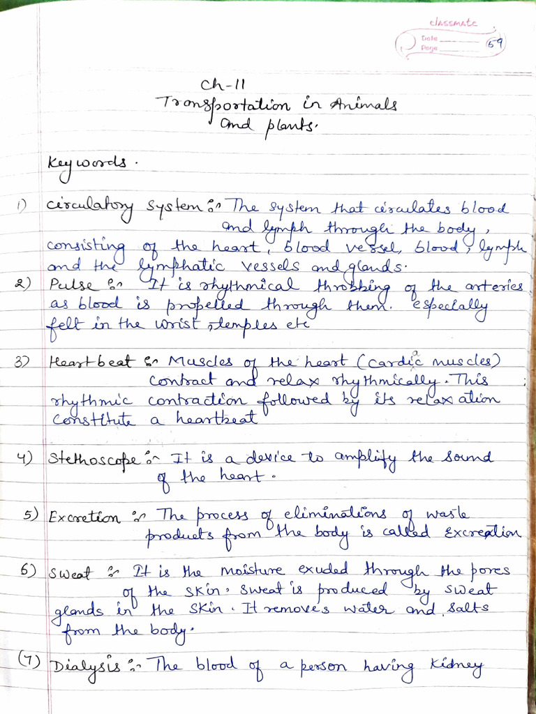 Science CH 11 | PDF