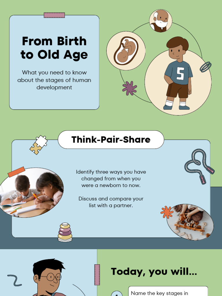 Stages of Human Development Explained | PDF | Infants | Adolescence