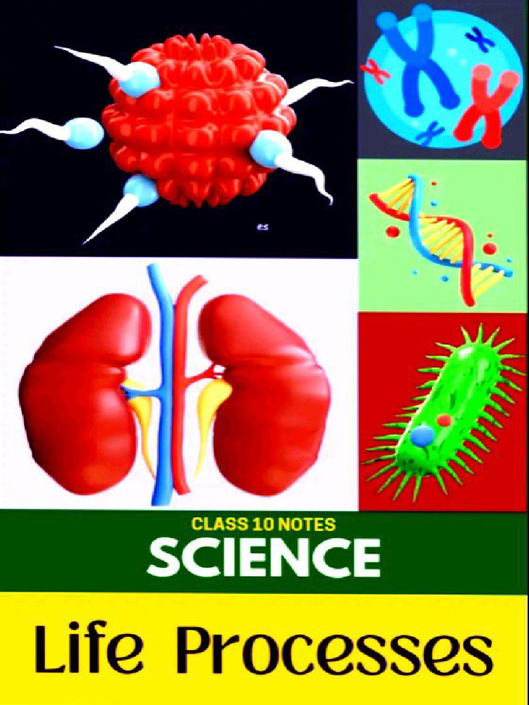 Prashant Bhaiya Biology Notes Class 10th | PDF