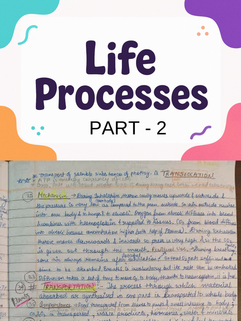 Cbse Class 10 Science Life Processes Short Notes Part - 2 | PDF