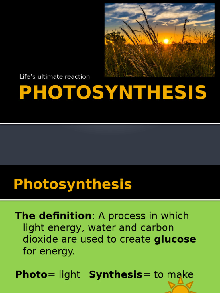 Notes Photosynthesis - New | PDF | Photosynthesis | Chloroplast