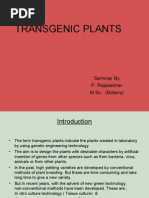 Transgenic Plants