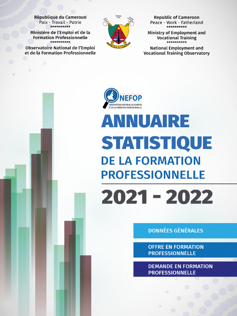 Analyse de la Formation Professionnelle | PDF | Formation à distance ...