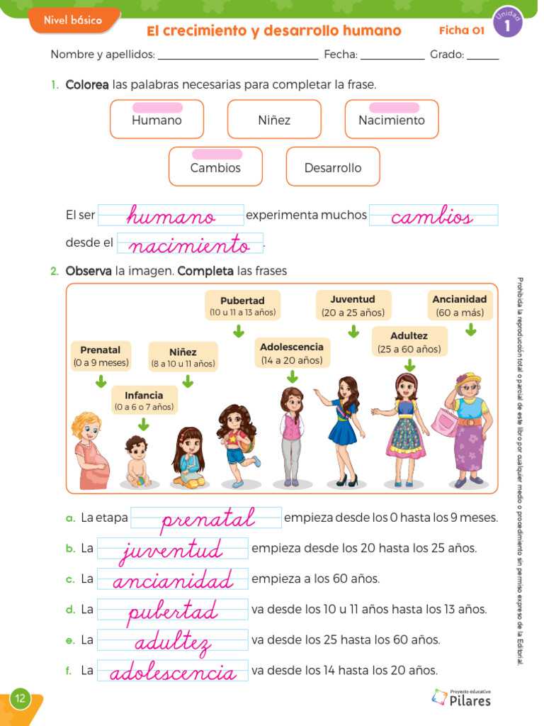 El Crecimiento y Desarrollo Humano | PDF | Adolescencia | Adultos