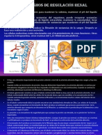 Mecanismos Renales de Regulación Del PH