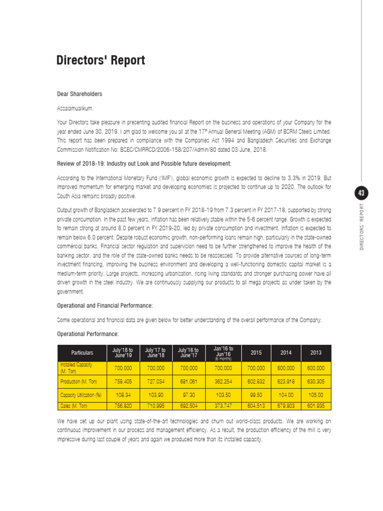 BSRM Steels Limited 2019 Directors' Report | PDF | Internal Control ...