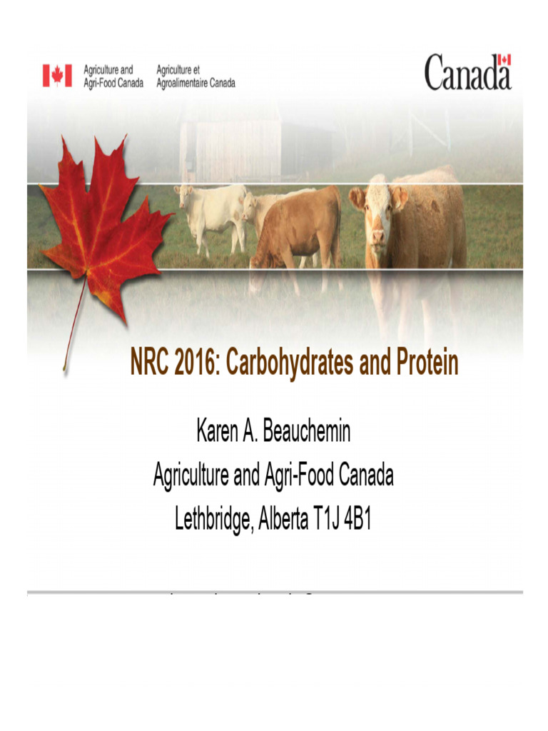 NRC 2016: Beef Cattle Nutrient Models | PDF | Digestion | Dietary Fiber