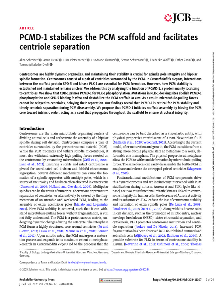 PCMD-1's Role in PCM Stability and Centriole Separation | PDF | Mitosis ...
