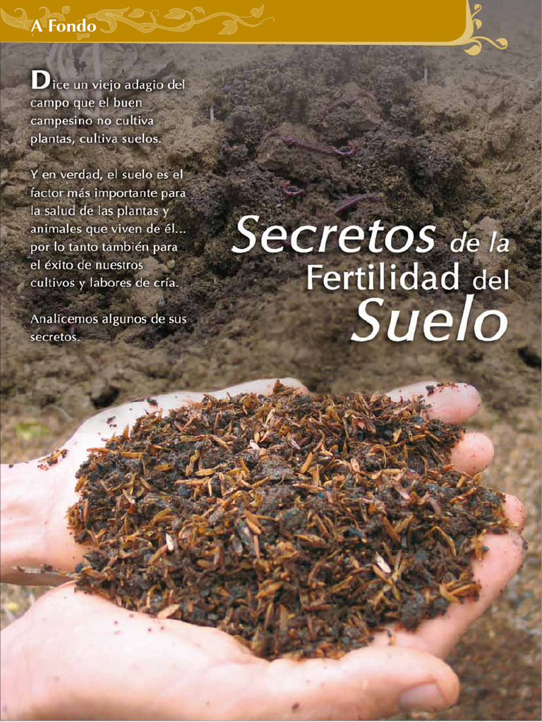 Secretos de La Fertilidad Del Suelo | PDF | Suelo | Plantas