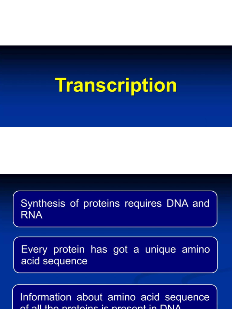 RNA Transcription | PDF