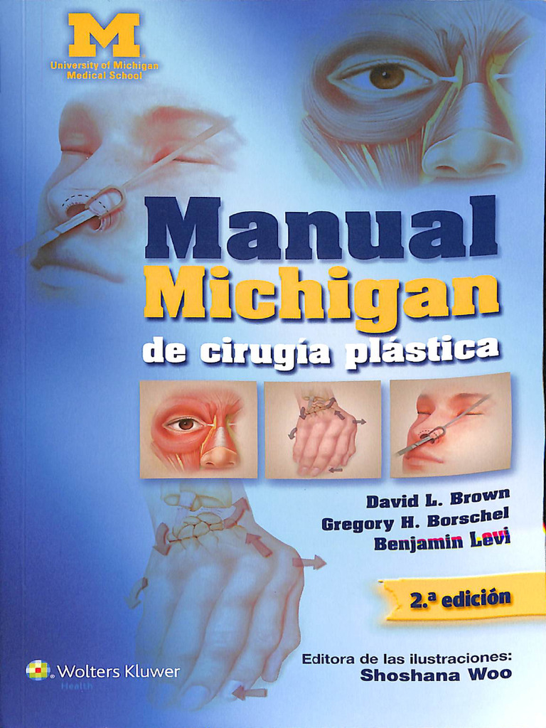 Manual Michigan | PDF