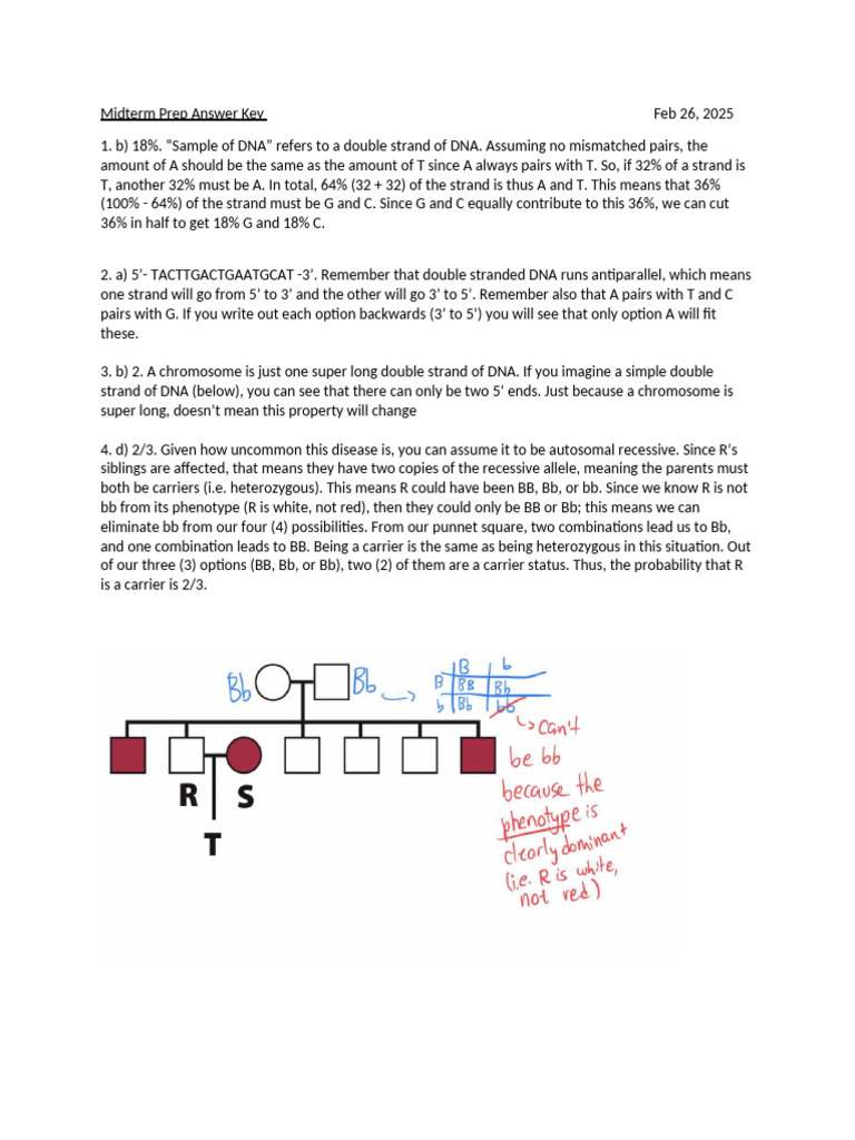 Midterm Prep Answers 2025 | PDF | Dominance (Genetics) | Zygosity