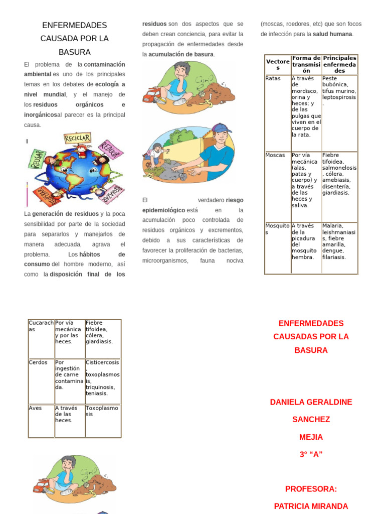 Enfermedades por Acumulación de Basura | PDF | Residuos | Heces