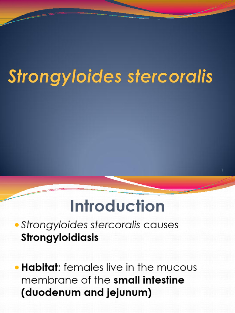 Strongyloides Stercoralis | PDF | Immunology | Clinical Medicine