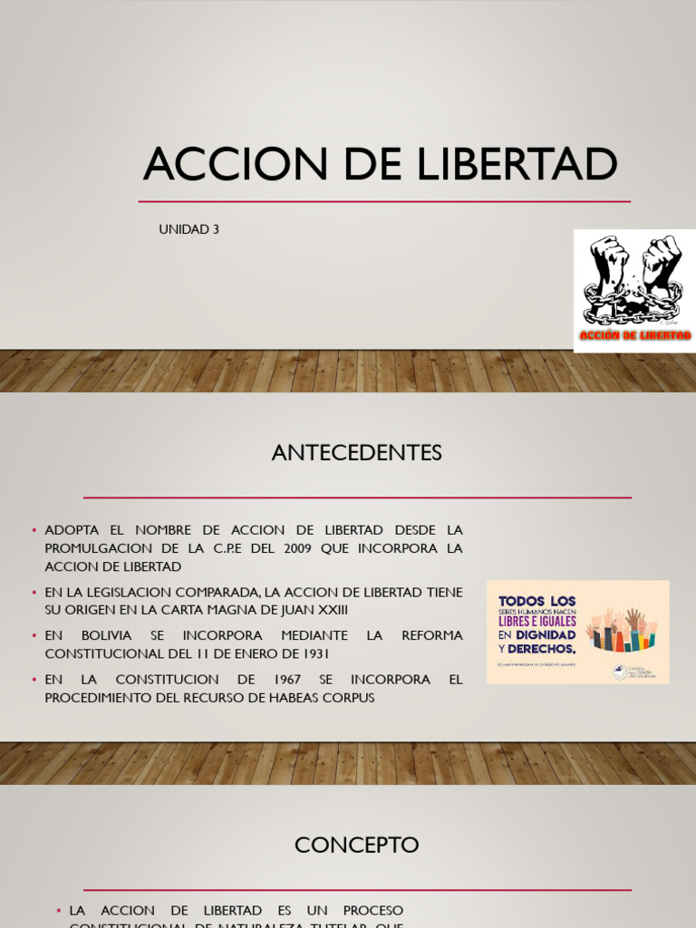 Acción de Libertad en Bolivia: Conceptos y Procedimientos | PDF ...