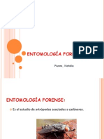 Entomología Forense