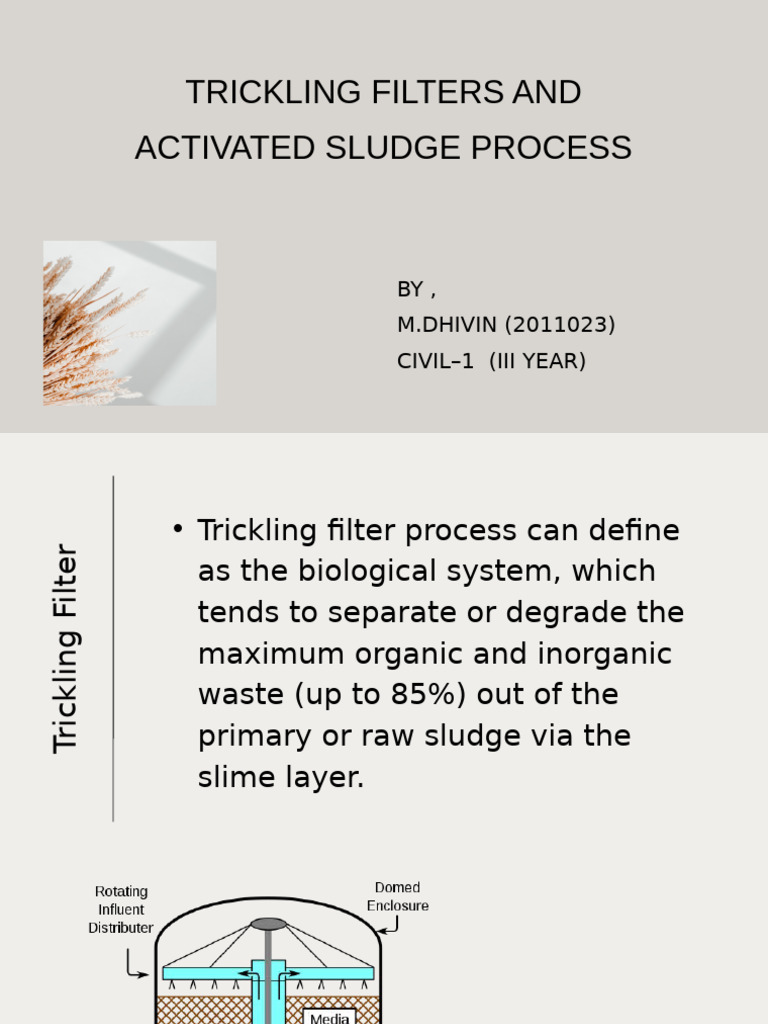 Trickling Filters and Activated Sludge Process | PDF