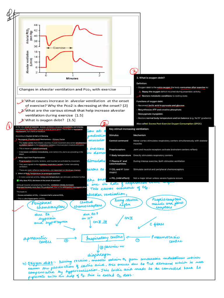 GCPS Respiration New | PDF
