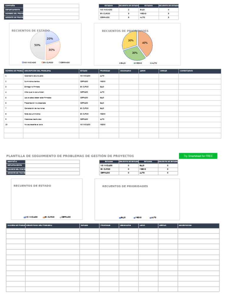 IC Project Management Issue Tracking Template 27149 ES | PDF