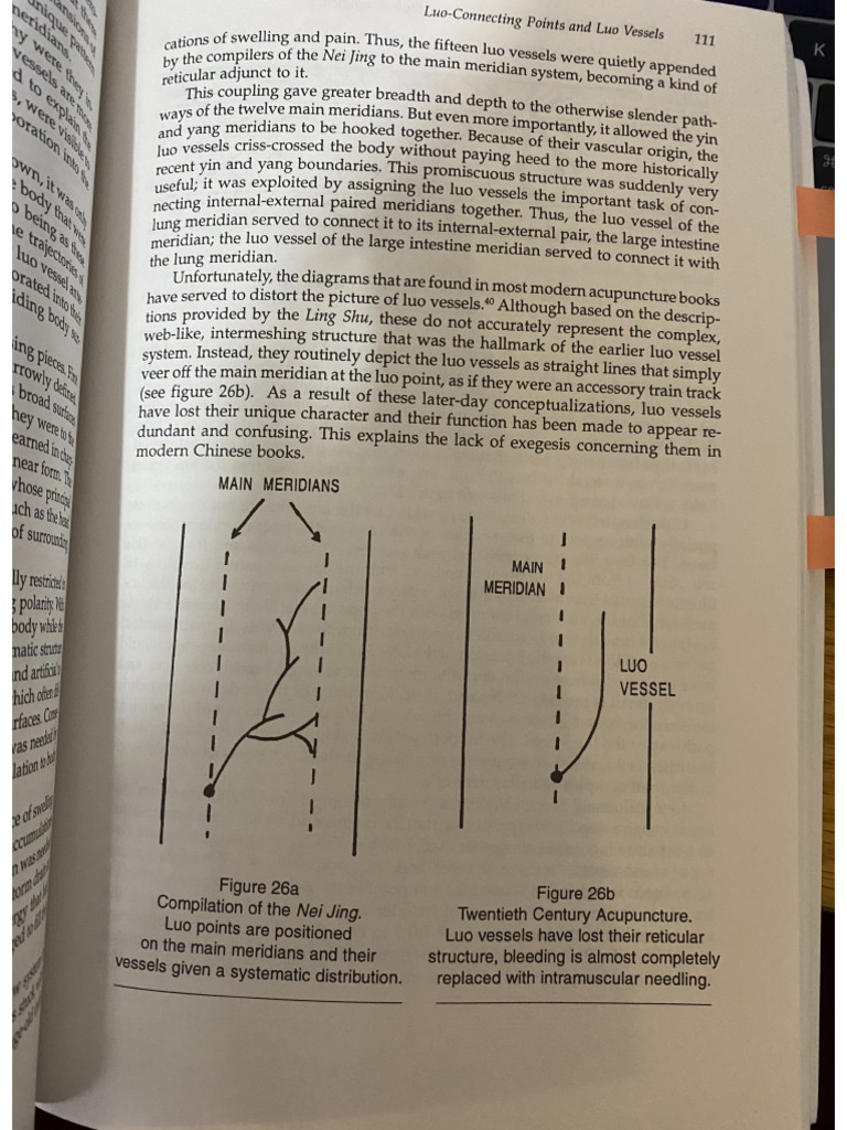 Luo Vessels - Source - John E. Pirog - Meridian Style Acupuncture | PDF