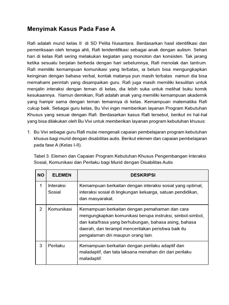 Program Kebutuhan Khusus untuk Rafi Autis | PDF