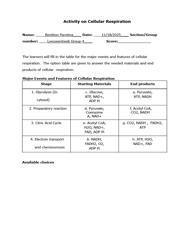 Activity On Cellular Respiration | PDF