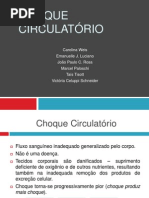 Choque Circulatório