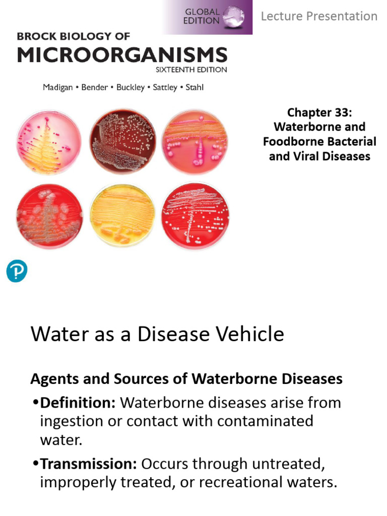 Waterborne and Foodborne Disease Overview | PDF | Foodborne Illness ...
