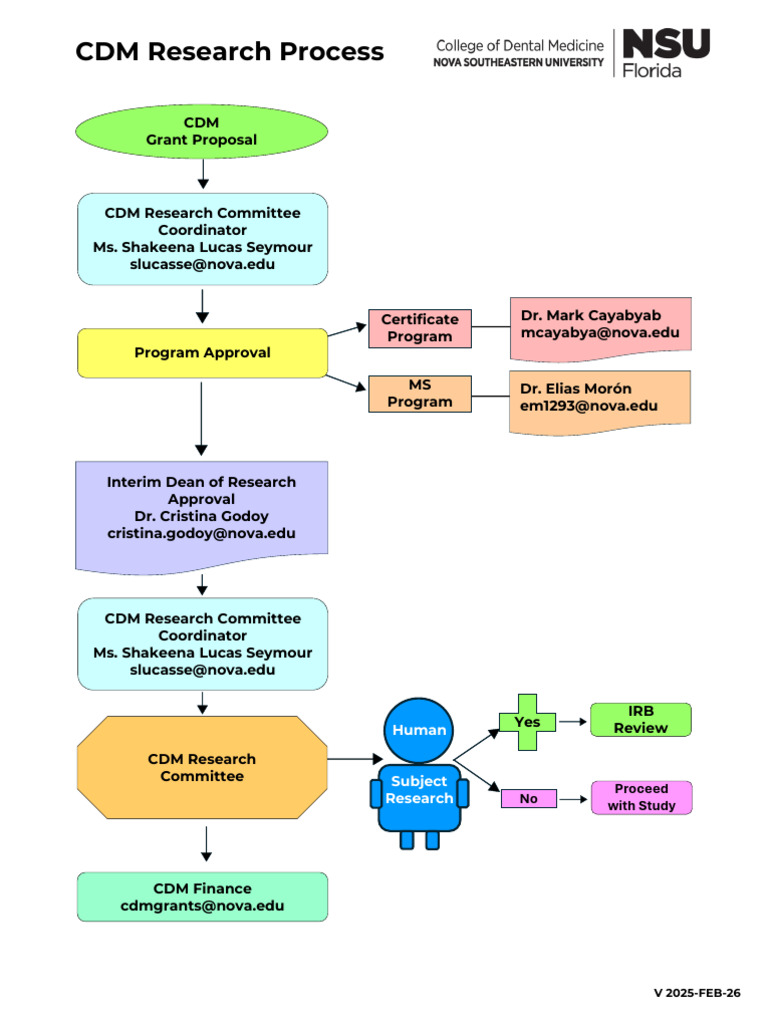 CDM Research Process Guidelines | PDF