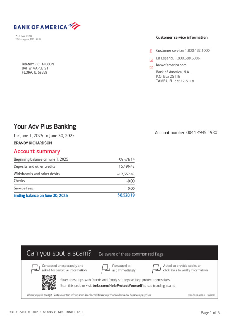 June 2025 Bank Statement Summary | PDF | Banks | Deposit Account