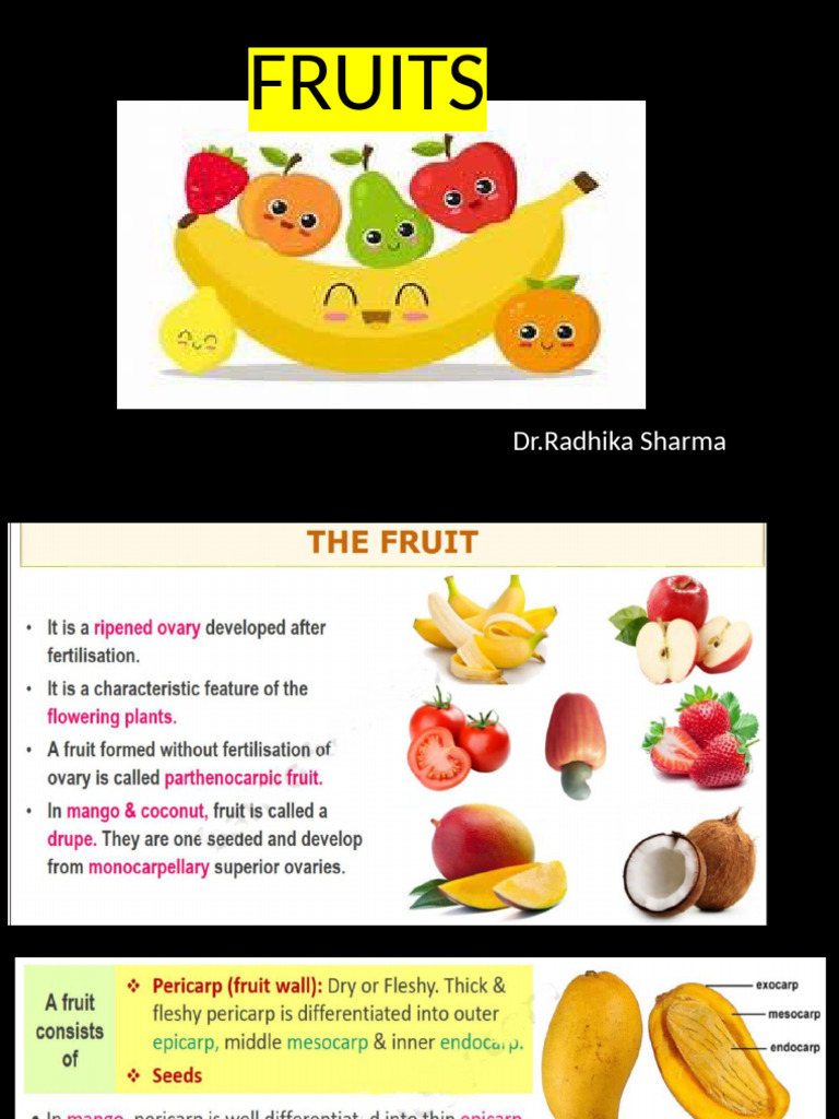 Fruit | PDF