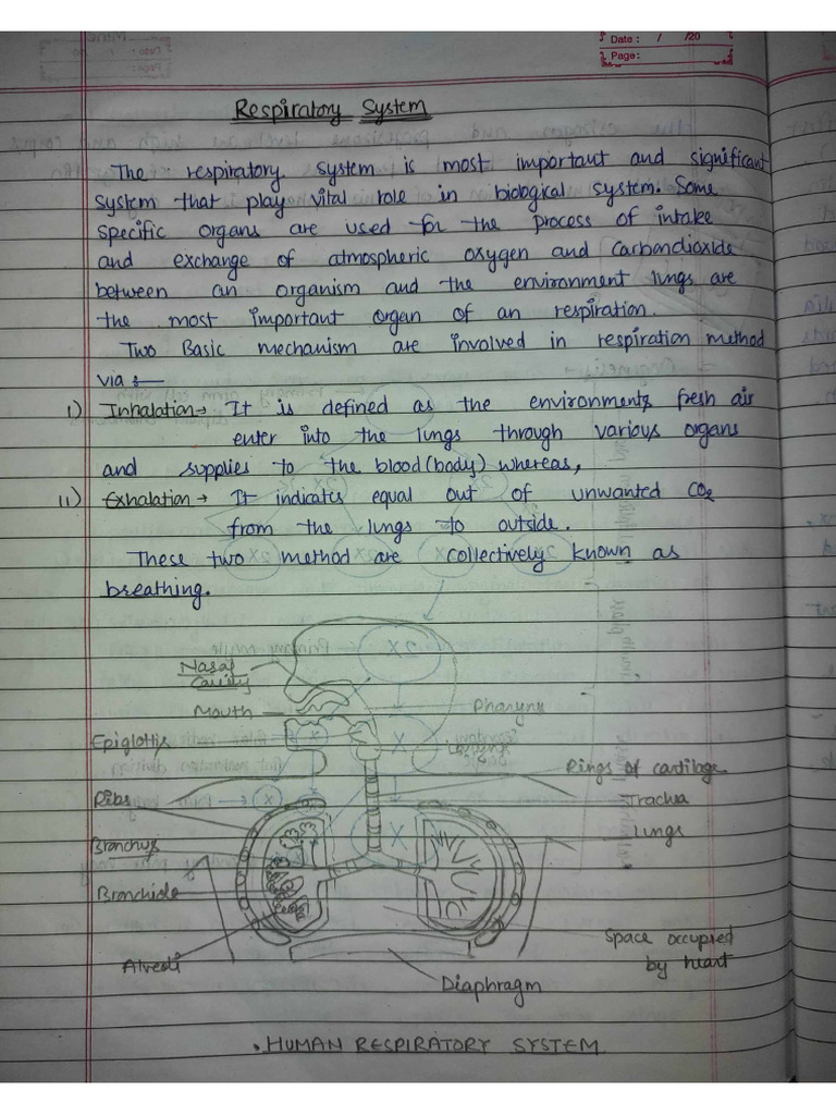 HAP - 2 Unit 3 | PDF