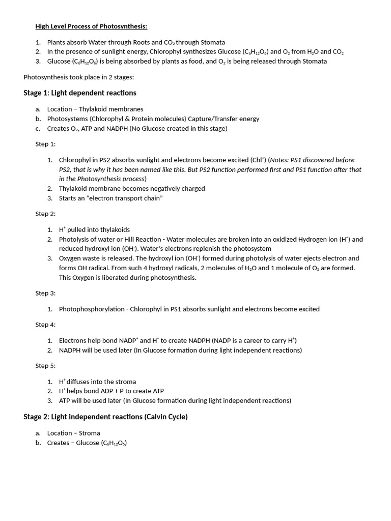 Photosynthesis Process Explained | PDF | Photosynthesis | Nicotinamide ...