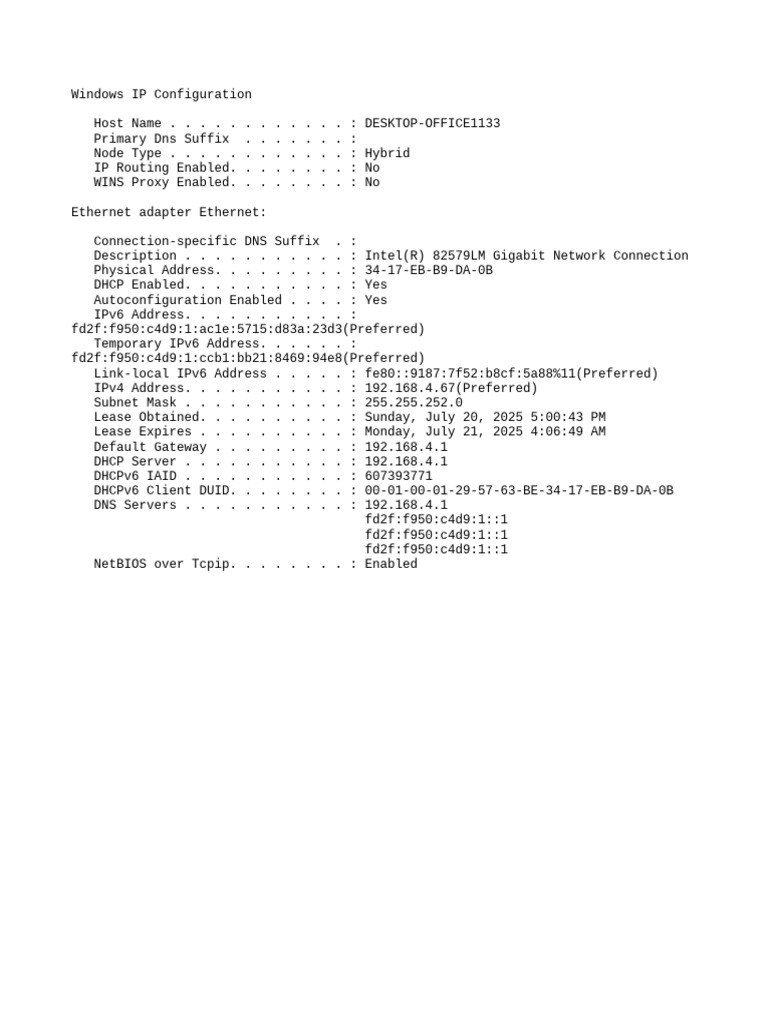 Ipconfig.all | PDF