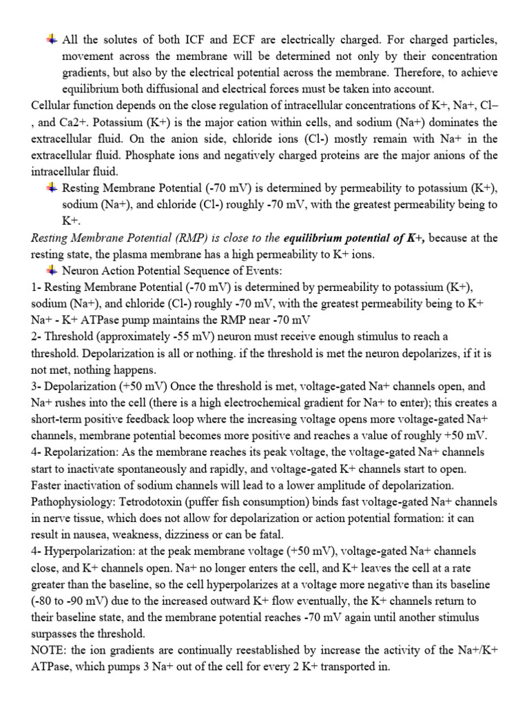 Understanding Neuron Action Potentials | PDF | Action Potential | Myelin