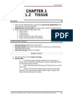 6 Bio200 Chapter 12