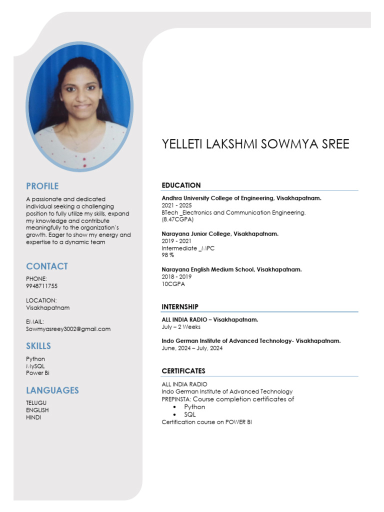 Electronics Engineering Student Profile | PDF | Internet Of Things ...