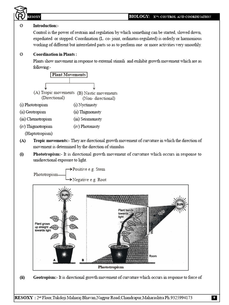 Control and Coordination in Biology | PDF | Axon | Motor Neuron
