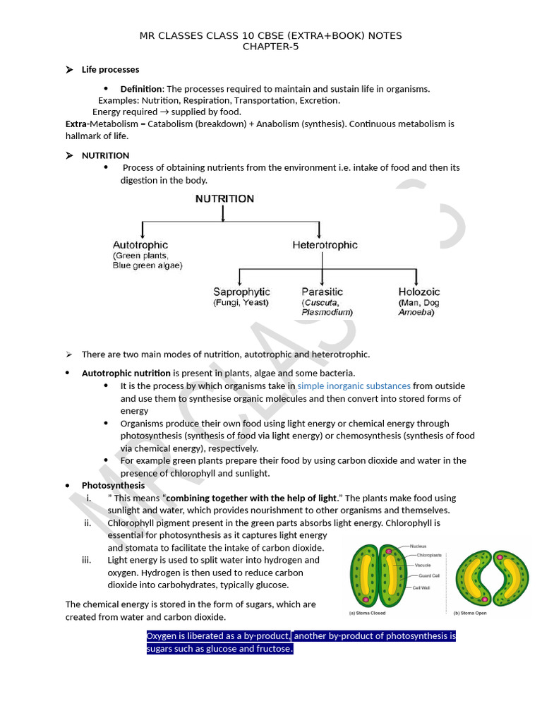 Class 10 CBSE Life Processes Notes | PDF | Digestion | Nutrition
