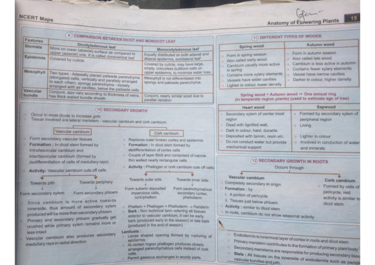 doc 5 | PDF