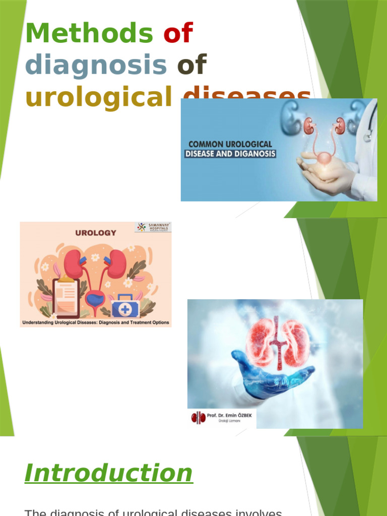Diagnostic Methods of Urological Problems-pt | PDF | Creatinine | Kidney