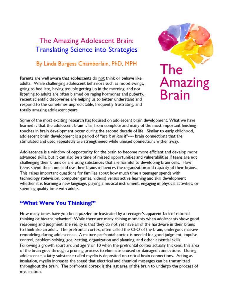 3.-The Amazing Adolescent Brain | PDF | Adolescence | White Matter