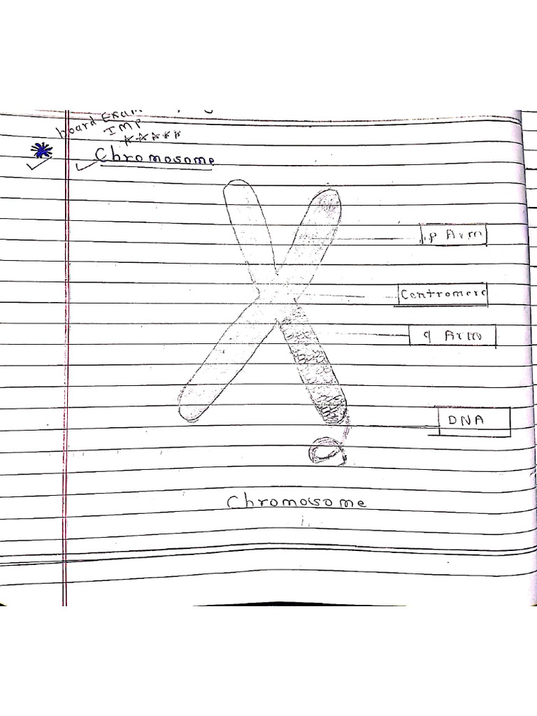 3.life Processes in Living Organisms Part2 | PDF