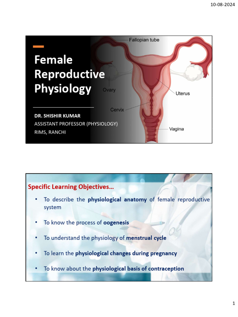 Female Reproductive Physiology Overview | PDF